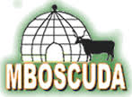 Mbororo Social and Cultural Development Association (MBOSCUDA)